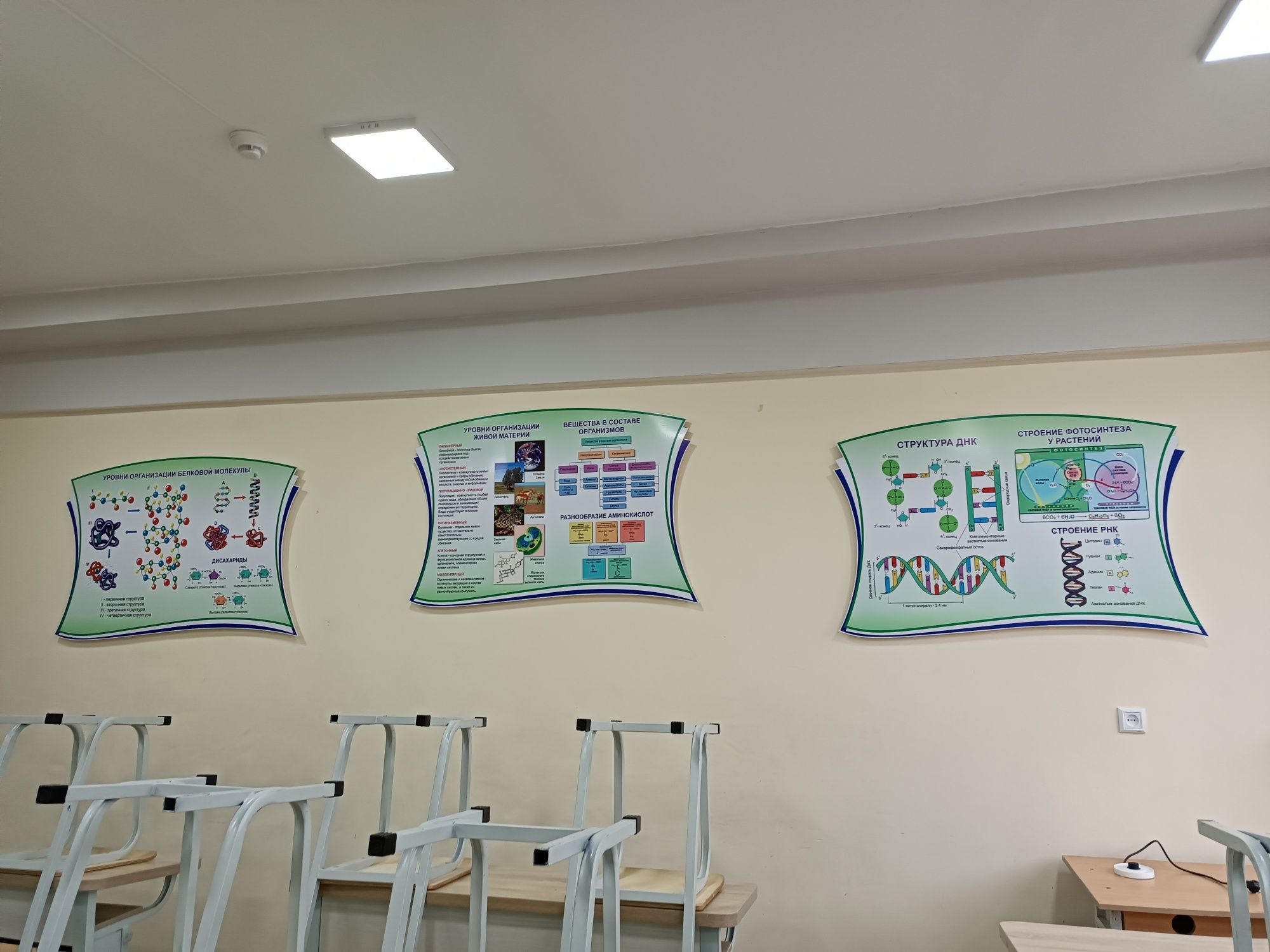 Банеры пластиковые для оформления кабинета биологии