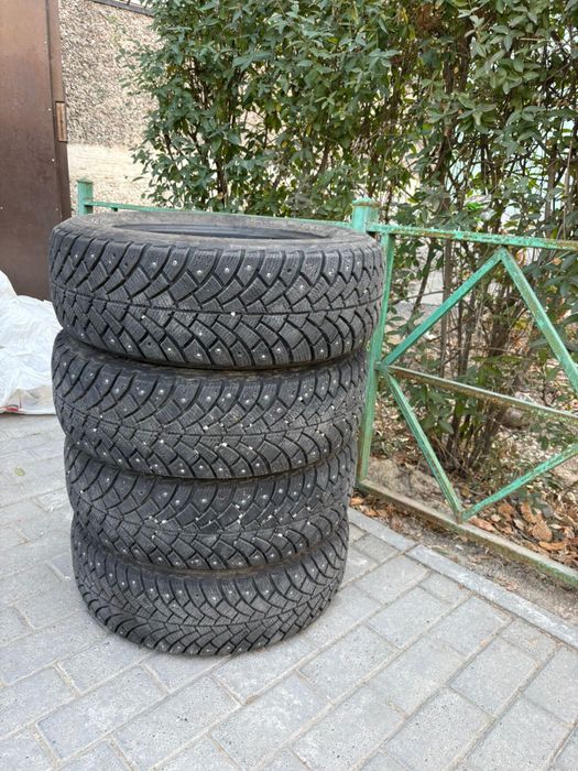 зимние болоны шиповый