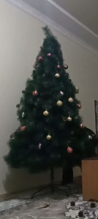 Арча сотилади янги