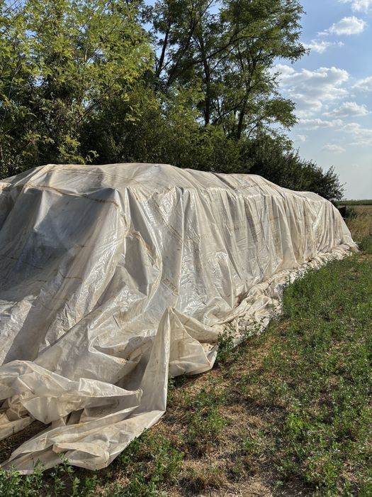 Baloti lucerna vand.