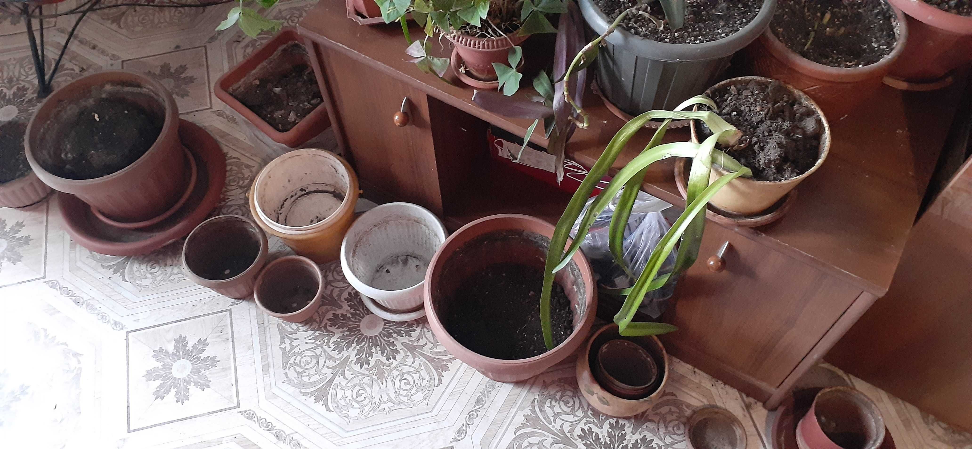 Горшки для комнатных растений