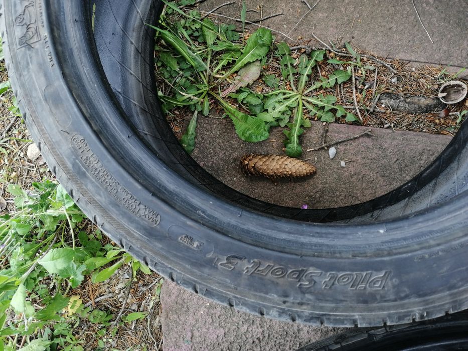 Гуми... Syron... Mishelin pilot