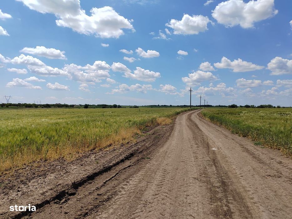 Frumusani Postavari 30 minute de Aparatorii Patriei super oferta 7 eur