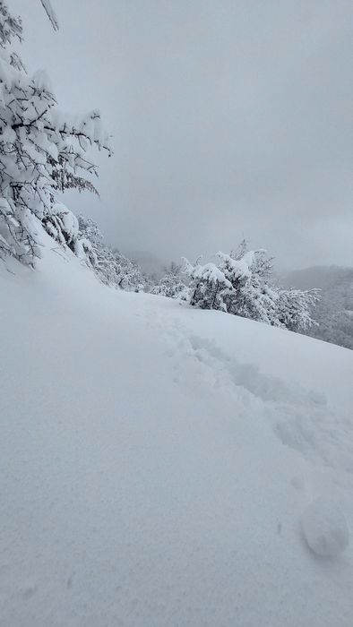 Toshkent viloyati Boʻstonliq tumani Oqtoshda Yer sotiladi 3 sotix