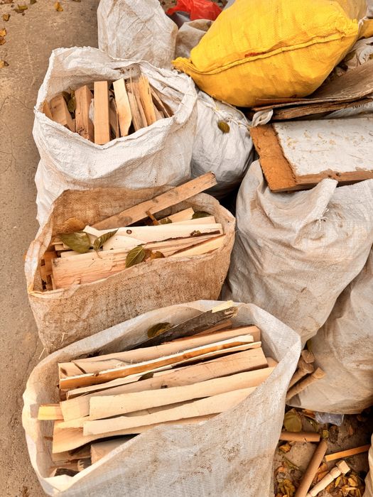 Oʻtin otin Ўтин.