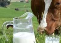 Молоко домашнее 600 тг/л с доставкой свысше 5 л