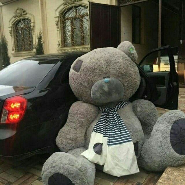 Teddi Teddy Teddiy yangi yilga sovg'a un