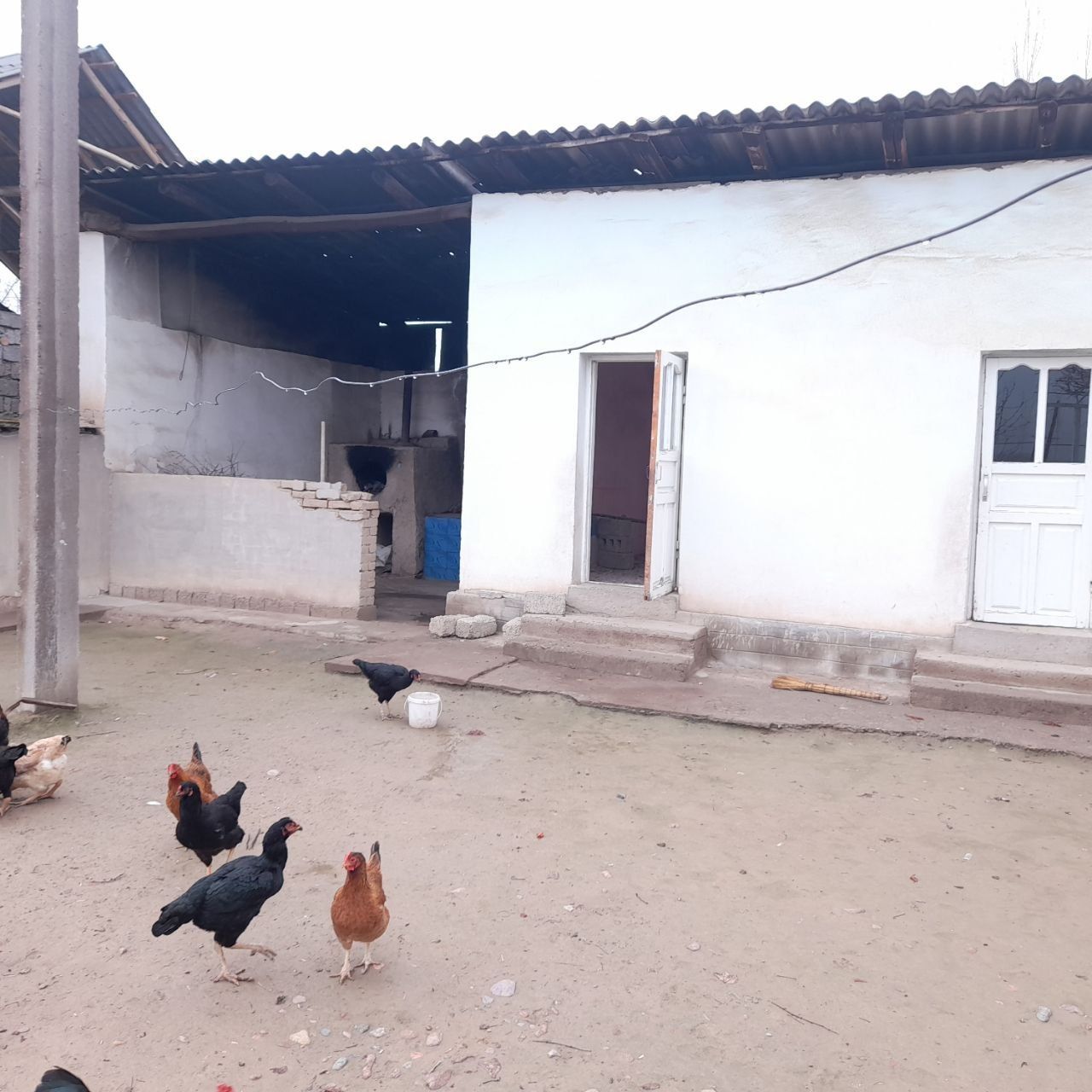 Hovli sotiladi. Holati zor