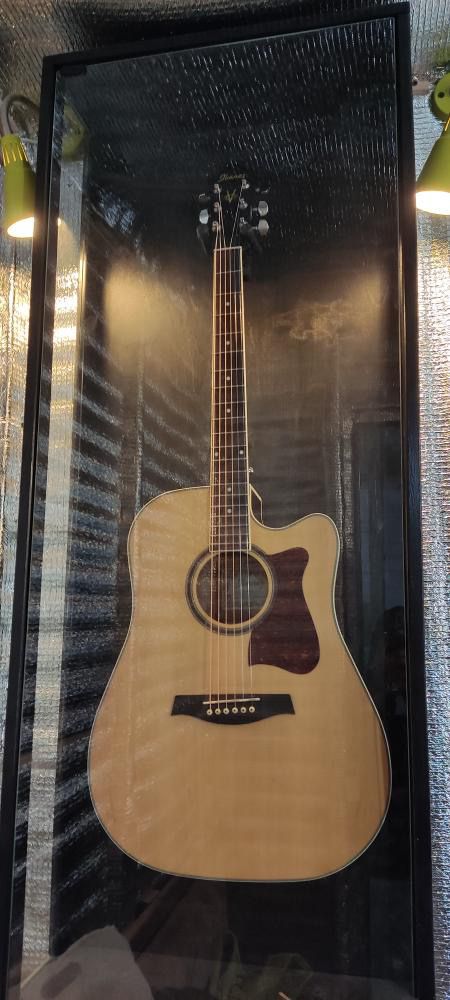 Ibanez ideal holatda