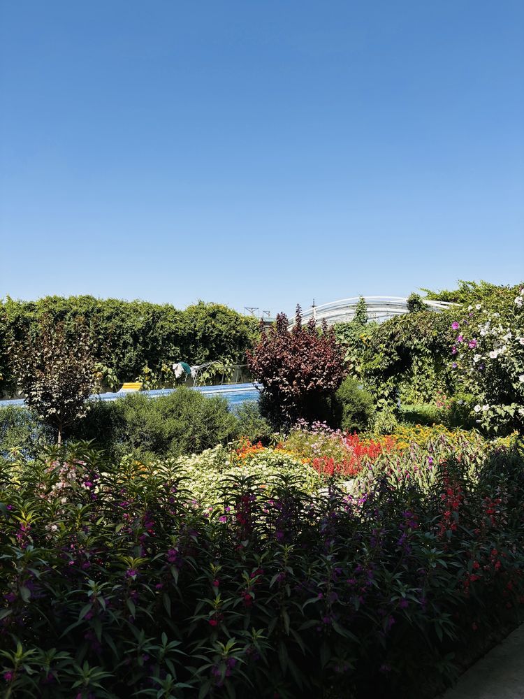 Dacha oilaviy samarqand, Дача семейный Самарканд