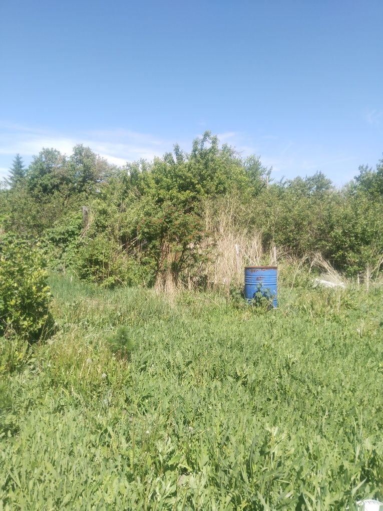 Продам дачу на ромашку в сортировке