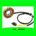 Stator Alternator Suzuki GS500 2001-2011 GS 500 Bobina Incarcare A713