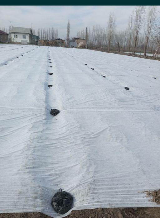 Агроволокно ишлаб чикарамиз