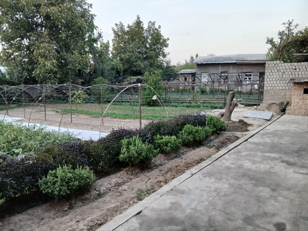 Toshkent tumani Xasanboy postdan o'tganda 3 sotix yer sotiladi