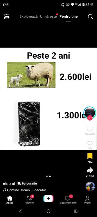 Vând 3 oi și 1 berbec,carabașă de Teleorman