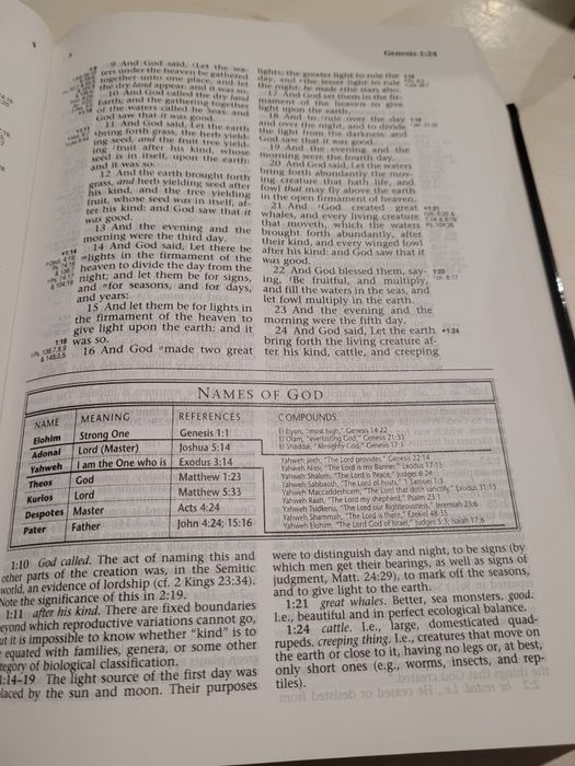 The Ryrie Study Bible