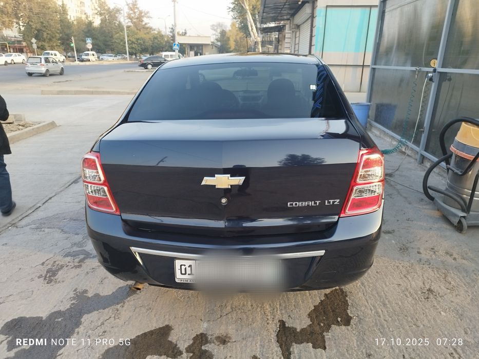 2023- краска тозза