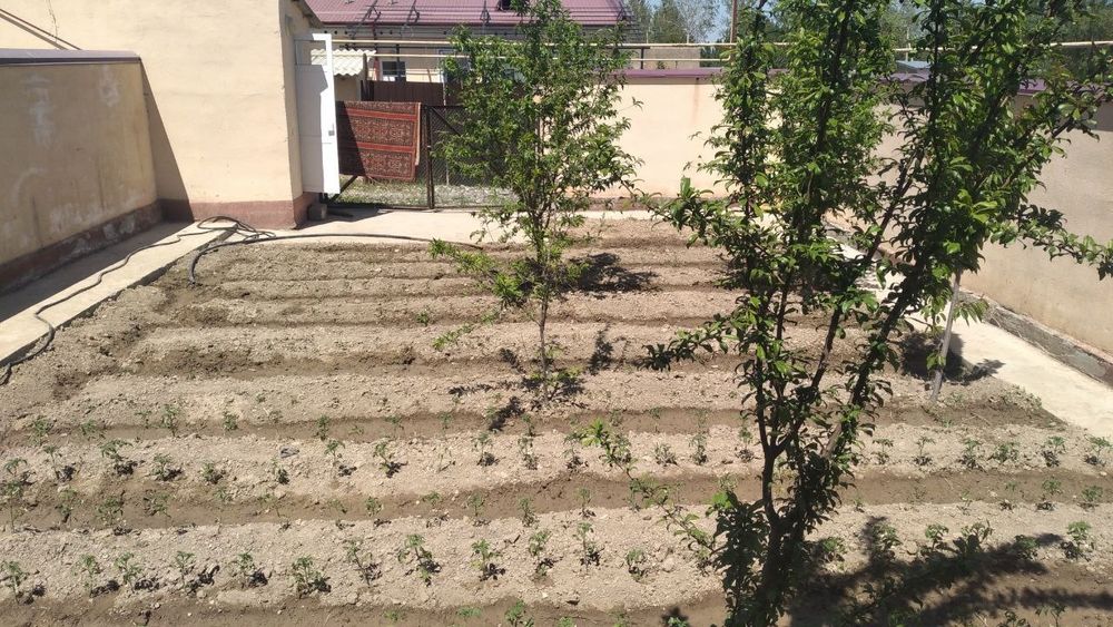 Гузалкент судхона оркасидаги катеж сотилади