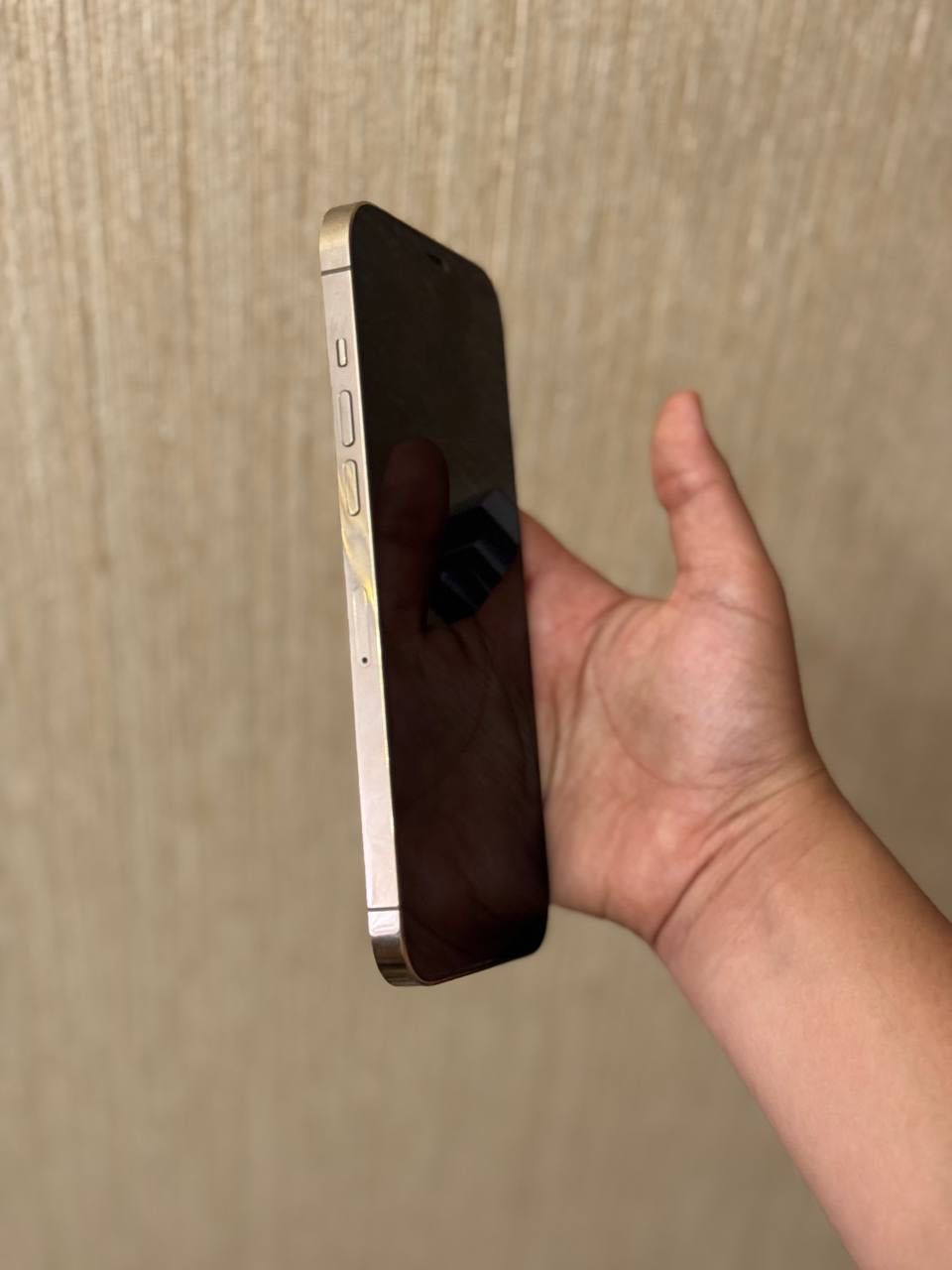 Iphone 12 Pro Max Gold