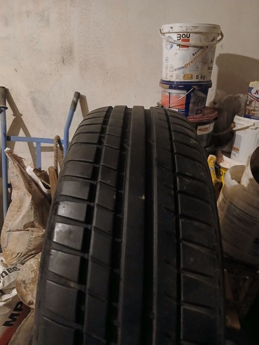 Caucuricuri cu jante