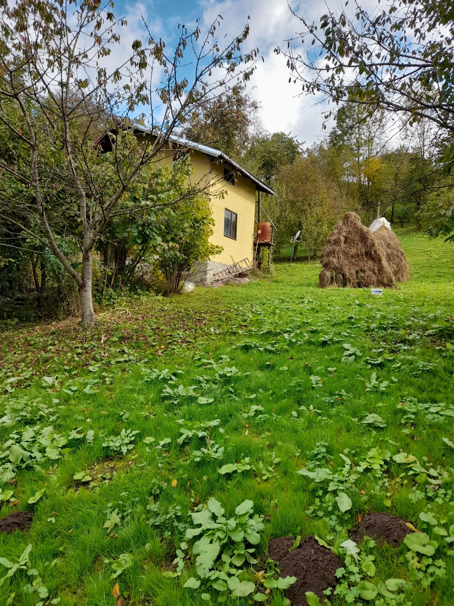 Casa cu teren Valea doftanei și teren