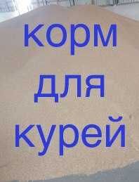 корм для курей опт