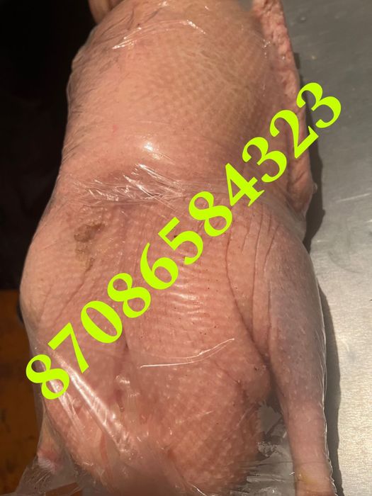 Продам мясо гуся домашнее свежее