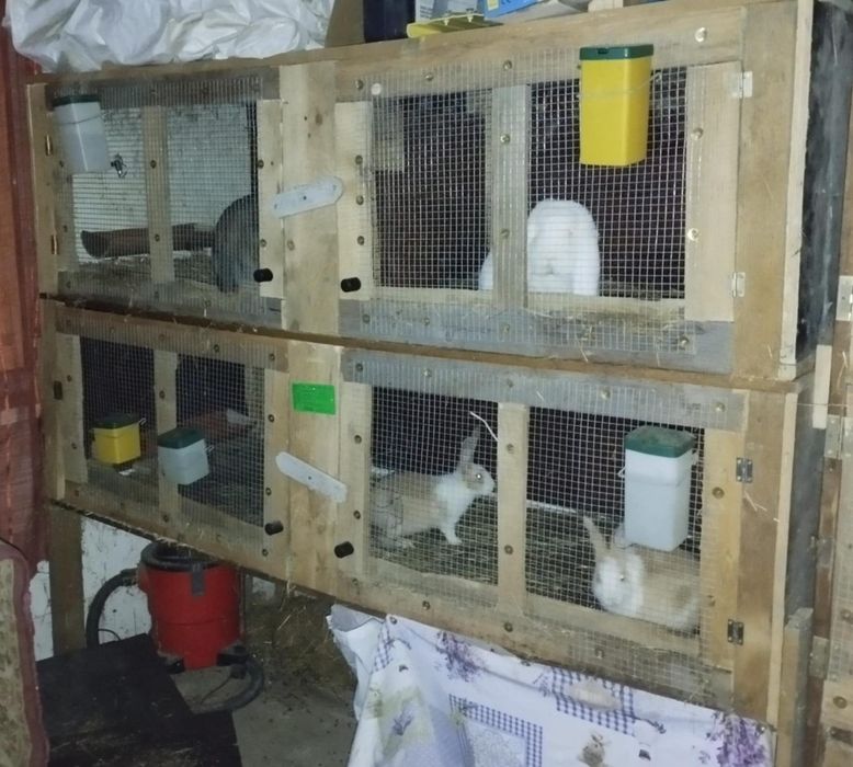 Cotețe pentru iepuri