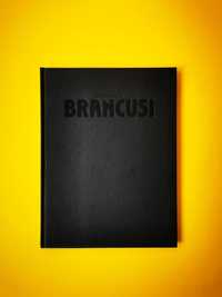 Delicatesse Constantin Brancusi catalog album arta Franta 1985