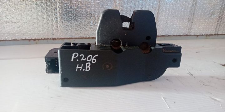 Broasca Haion Peugeot 206 prima generatie