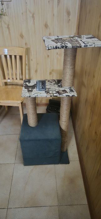 Домик для котят и кошки