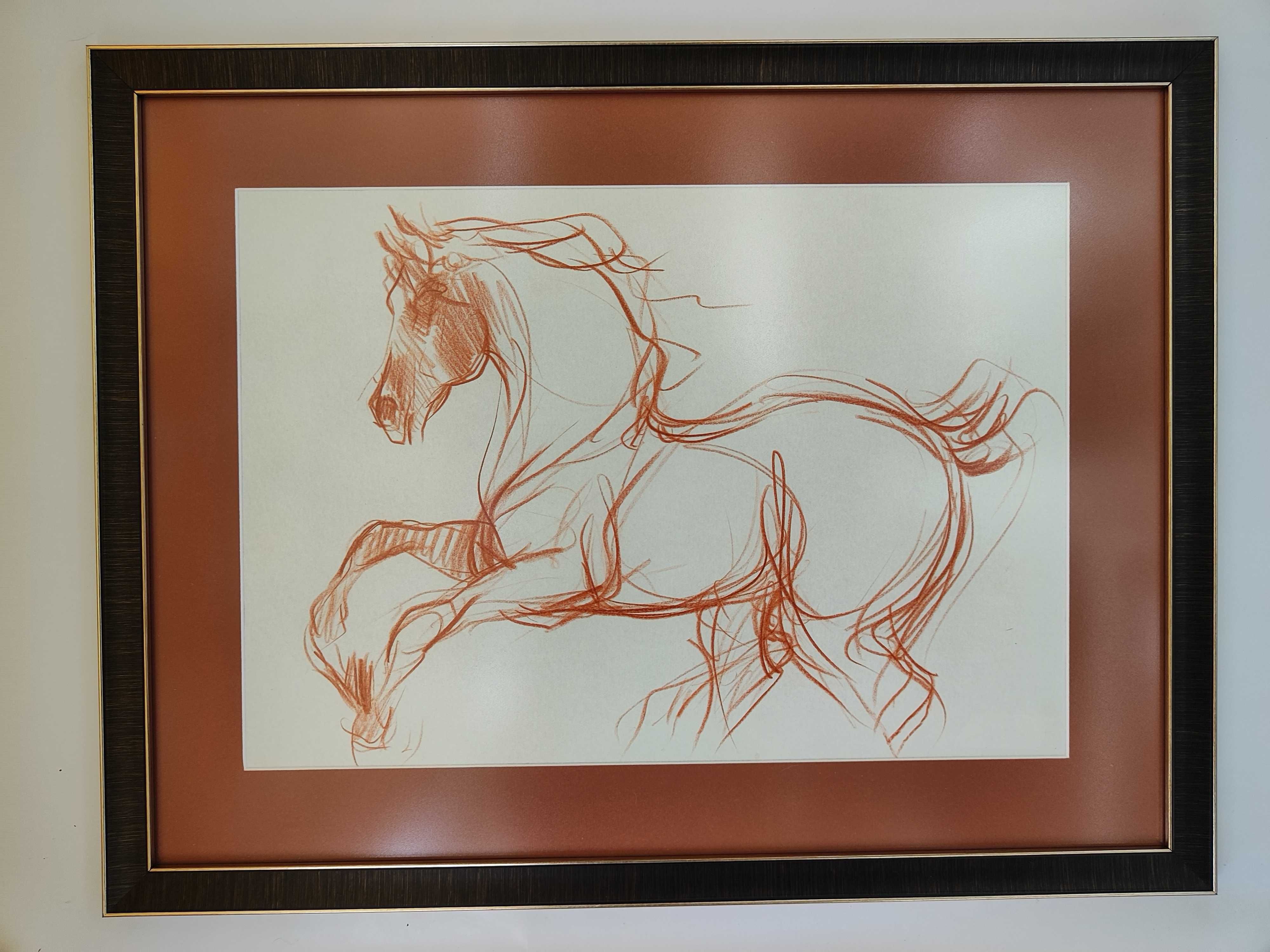 Авторски принтове  на рисувани коне