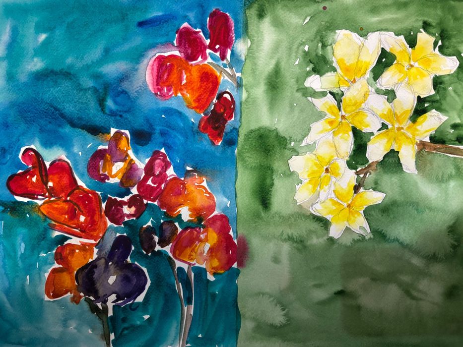 Картини 35х50 см по 20 лв.