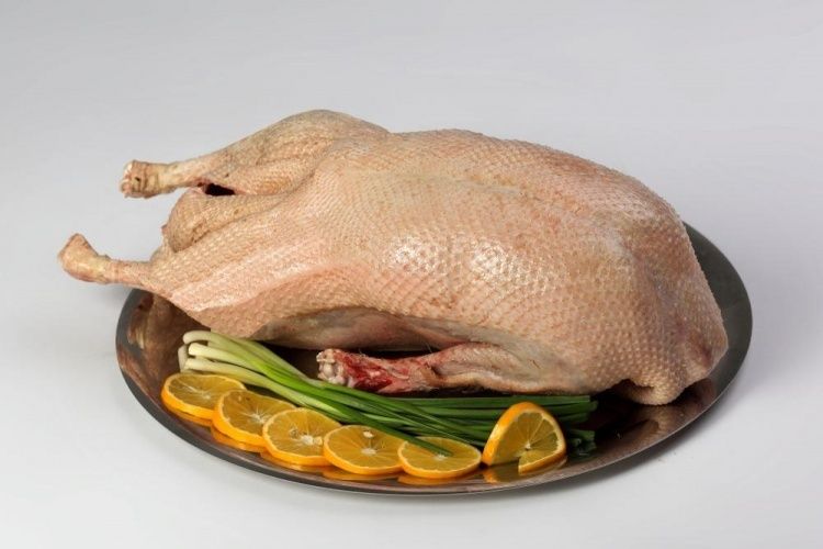 Гуси домашние свои.