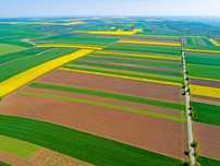 Agricol judetul Ialomita