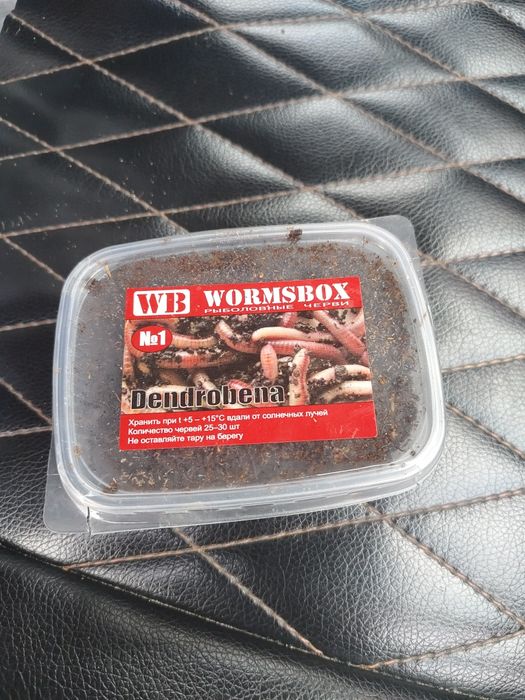 Прдам черви для рыбалки