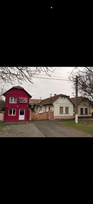 Dau in chirie casa pe Calea Timisorii