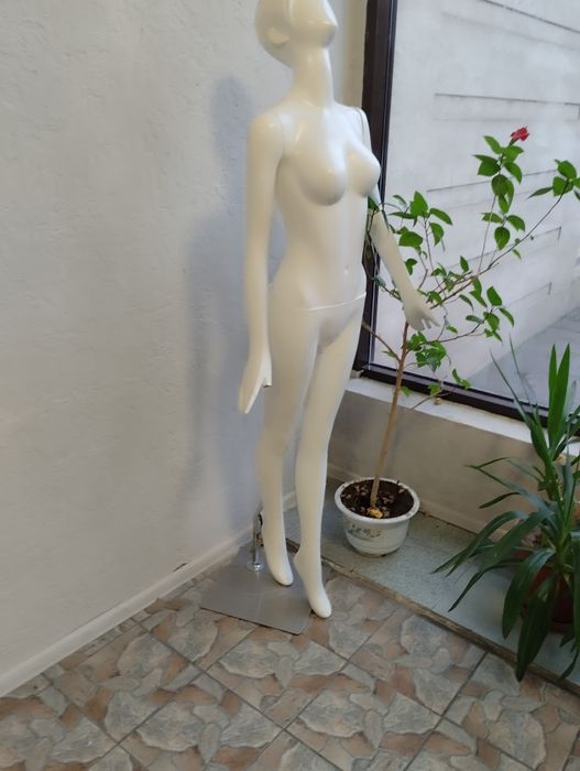 Манекен+ зеркало.