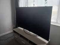 tv oled 65 inch defect