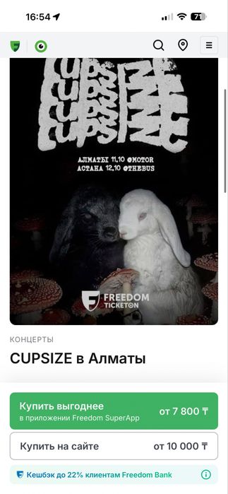 CupSize в Алматы билет парный