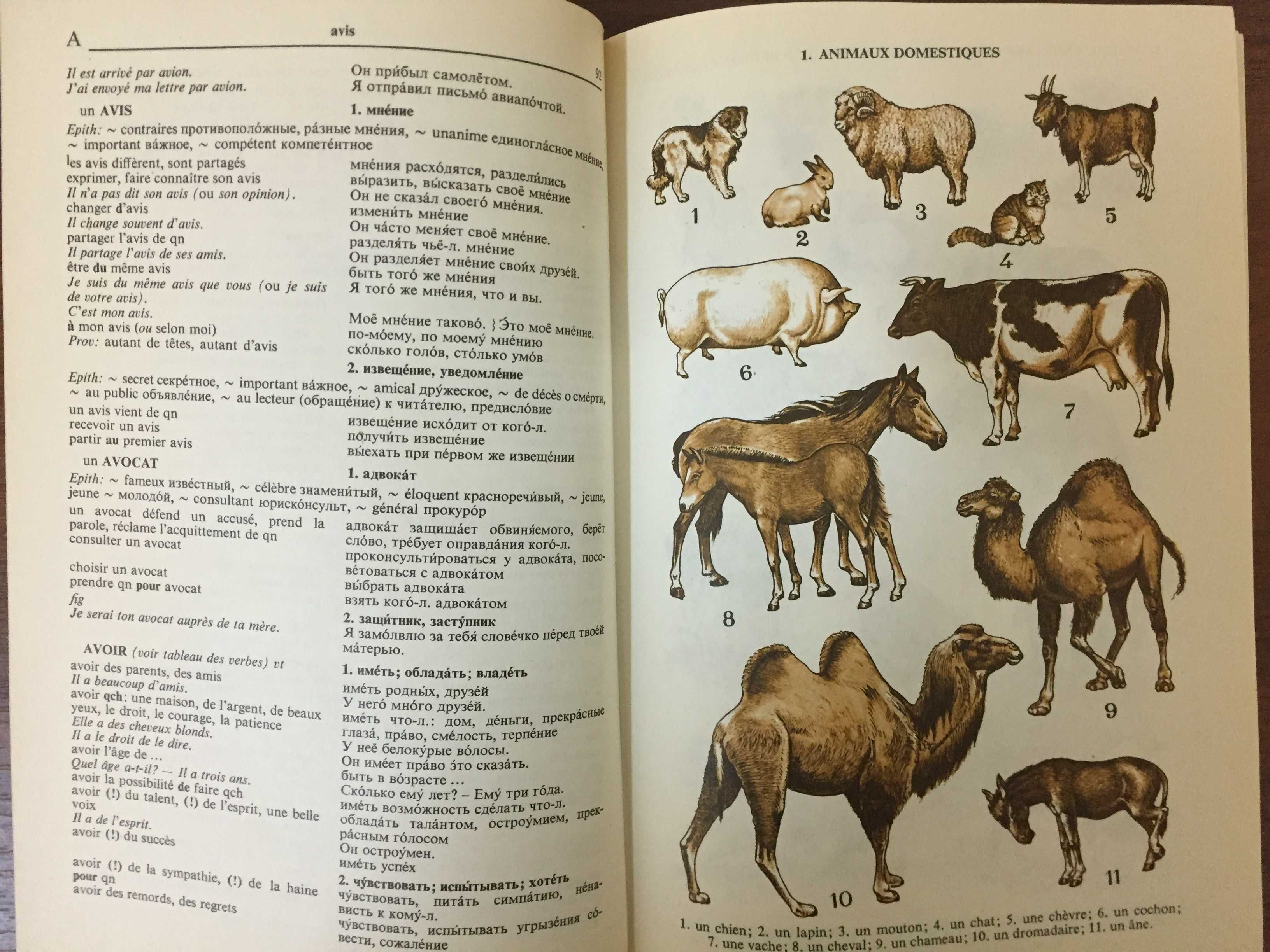 Иллюстрированный французско-русский словарь.