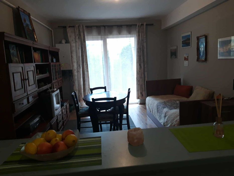 Apartament 2 camere parter cu terasa mare si vedere spre spatiul verde
