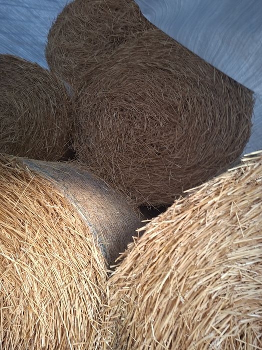 Baloti rotunzi din paie grau 125/120,    45 lei/balot