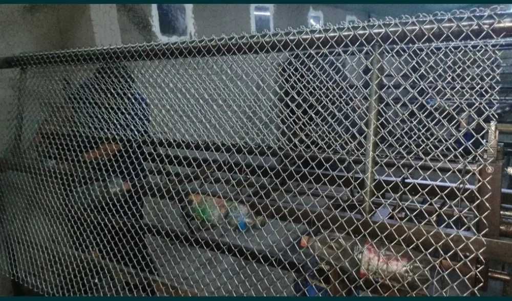 сетка реабитса 6х6