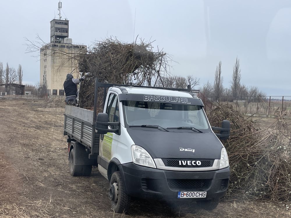 Evacuare pamant excavat resturi vegetale crengi gazon