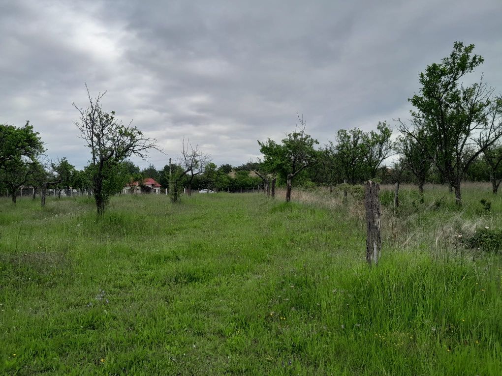Teren de vânzare intravilan.