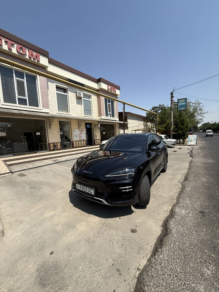 Byd chempion Honor