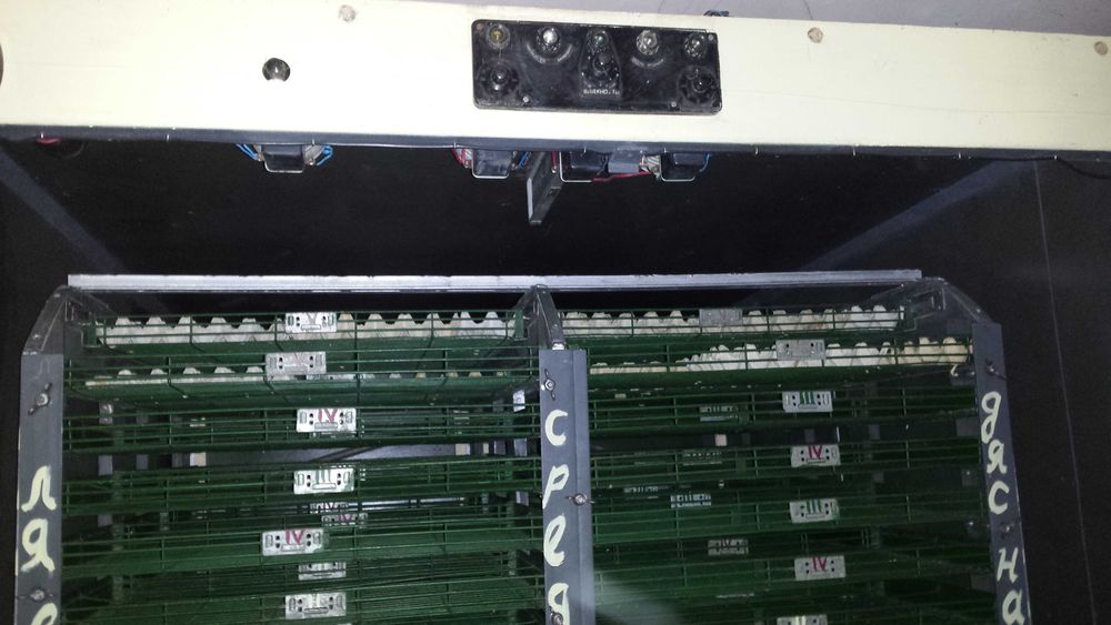 Инкубатор + люпилен шкаф