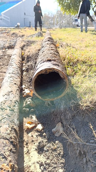 Turba (159) dm (8)mm