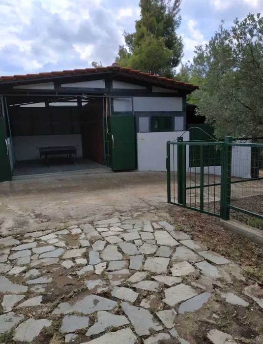Ексклузивно предложение – къща в Agios Nikolaos, Ситония, Халкидики